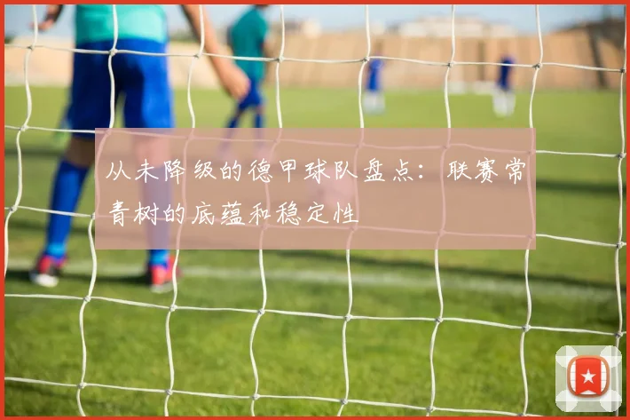 从未降级的德甲球队盘点：联赛常青树的底蕴和稳定性
